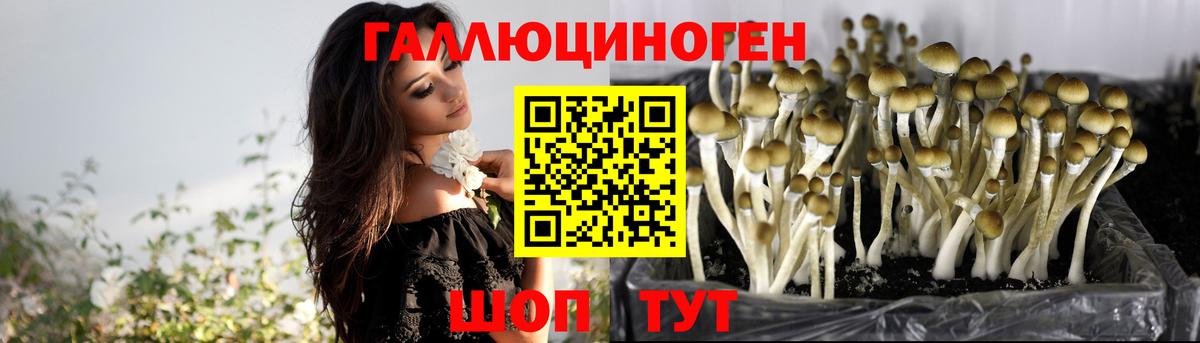 Псилоцибиновые грибы мухоморы Киселёвск