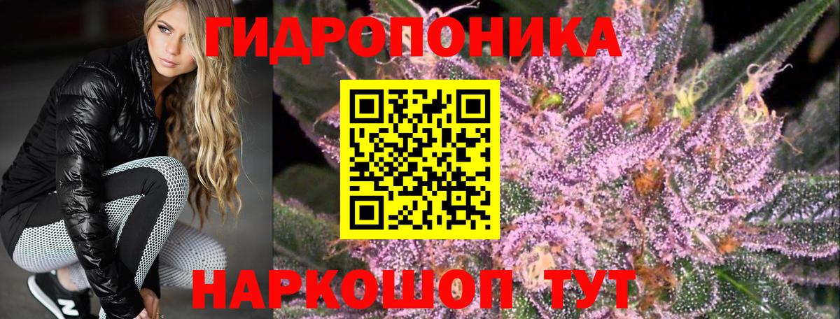 Киселёвск  Шишки марихуана семена  Вход с VPN  Шишки марихуана AK-47  Конопля план 